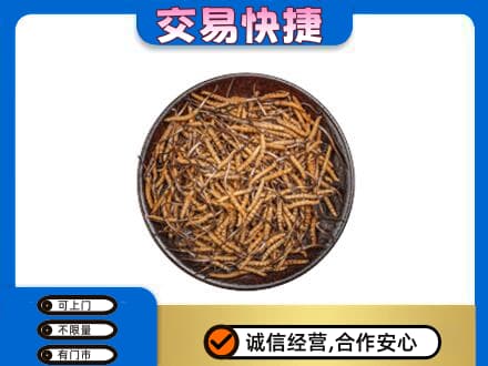 鸡西回收散虫草